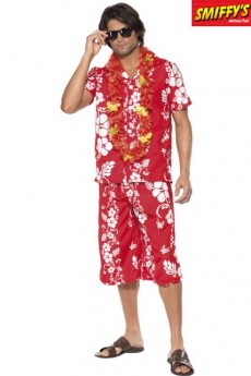 Déguisement Beau Mec Hawai costume
