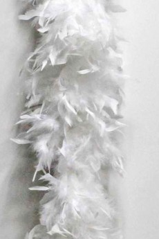 boa plumes luxe env 150g 200 cm blanc Le Deguisement.com