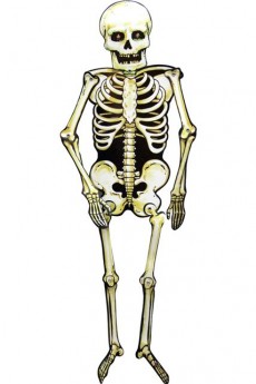 Squelette En Carton accessoire