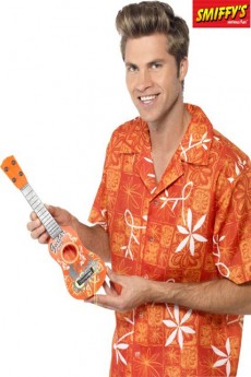 Guitare Mini Hawaïenne accessoire