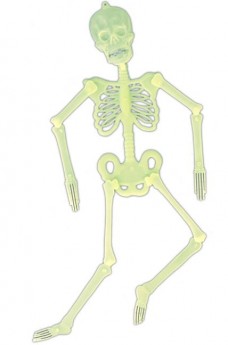 Squelette Articule Phospho 140cm accessoire