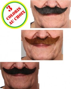 Moustaches de Mousquetaire accessoire