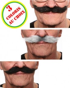 Moustaches Luxe Mylord accessoire