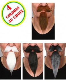 Moustaches Mousquetaire avec Bouc accessoire