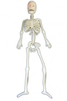 Squelette En Plastique Souple 40 Cm accessoire