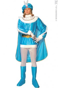 Déguisement Prince Bleu costume