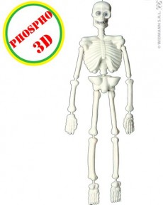 Squelette 3D Phospho accessoire