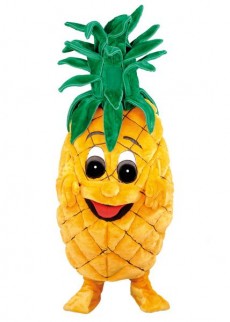 Mascotte Ananas costume