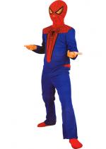 Deguisement Déguisement Spiderman 4 
