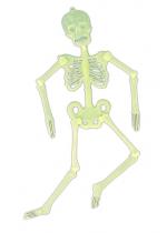 Squelette Articule Phospho A Suspendre accessoire