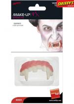 Dents De Vampire Horreur accessoire