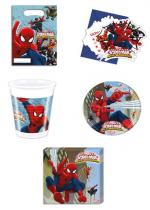 Deguisement Vaisselles Jetables Spiderman Web Warriors 
