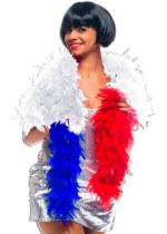 Boa Plumes Tricolore France accessoire