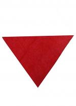 Foulard Basque Rouge Triangulaire 78x56 Cm accessoire