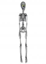 Squelette Lumineux Led 76 Cm accessoire