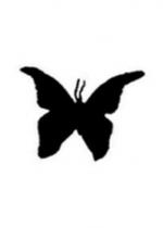 Pochoir Pour Tatouage Paillettes Papillon accessoire