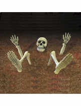 Décoration squelette accessoire
