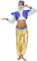 Deguisement Déguisement danseuse orientale coloré femme Femme