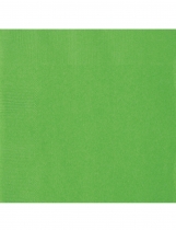 20 Serviettes en papier vert citron 33 x 33 cm accessoire