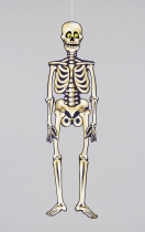 Squelette de décoration à suspendre Halloween accessoire