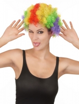 Deguisement Perruque afro multicolore clown adulte 