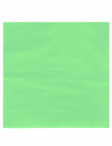 50 Serviettes vert anis 38 x 38 cm accessoire