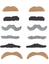 Lot de 12 moustaches adulte accessoire