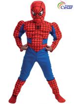Déguisement de Spiderman costume