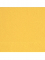 20 Petites serviettes en papier jaunes 25 x 25 cm accessoire
