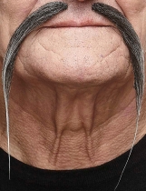 Moustache chinoise grise adulte accessoire