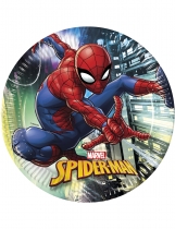 Deguisement 8 Assiettes En Carton Spiderman 23 Cm 