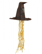 Deguisement Piñata choixpeau Harry Potter 45 cm 
