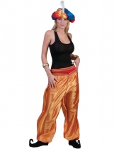Pantalon doré danseuse femme costume