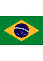 Drapeau Brésil accessoire