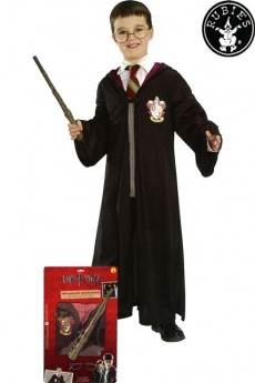 Déguisement Harry Potter costume