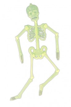 Squelette Articule Phospho A Suspendre accessoire