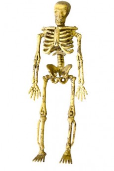 4 Squelettes Articules 3D A Suspendre accessoire