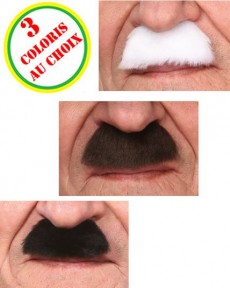 Moustaches Luxe Papy accessoire