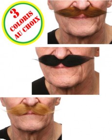 Moustaches 19eme Siècle accessoire
