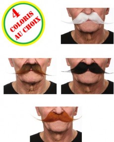 Moustaches de Gentleman accessoire