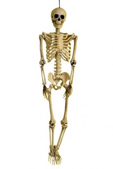 Squelette 3D Réaliste 90Cm accessoire