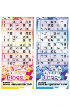 Mini Bingo Plus Série De 250 Tickets accessoire