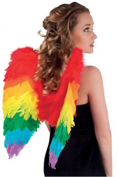 Ailes De Perroquet 50 X 50cm Multicolores accessoire