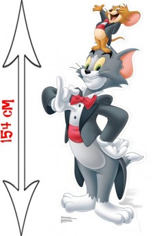 Figurine Géante Tom Et Jerry Warner Bros accessoire