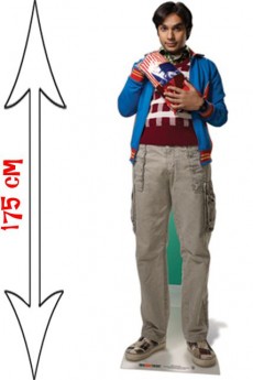 Figurine Raj Koothrappal The Big Bang Theory accessoire