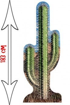 Figurine Géante Cactus accessoire