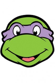 Masque Carton Adulte Donatello Tortue Ninja accessoire
