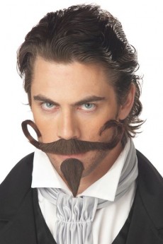 Moustache Et Barbichette Dandy accessoire