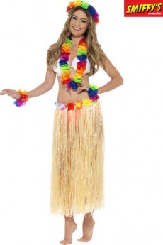 Set Hawaïen Multicolore accessoire