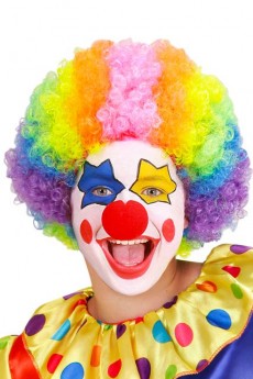 Perruque Clown Multicolore Enfant accessoire
